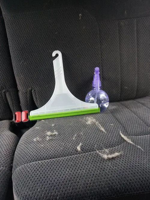 spray water and a squeegee used to get dog hair out of car carpets 