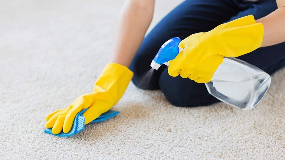 How to Get Dog Hair out of Carpet Easily Using Simple Methods |