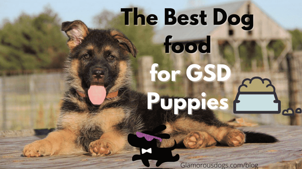 The Best Dog Food for German Shepherd Puppy in 2021 - Buyer’s Guide ...