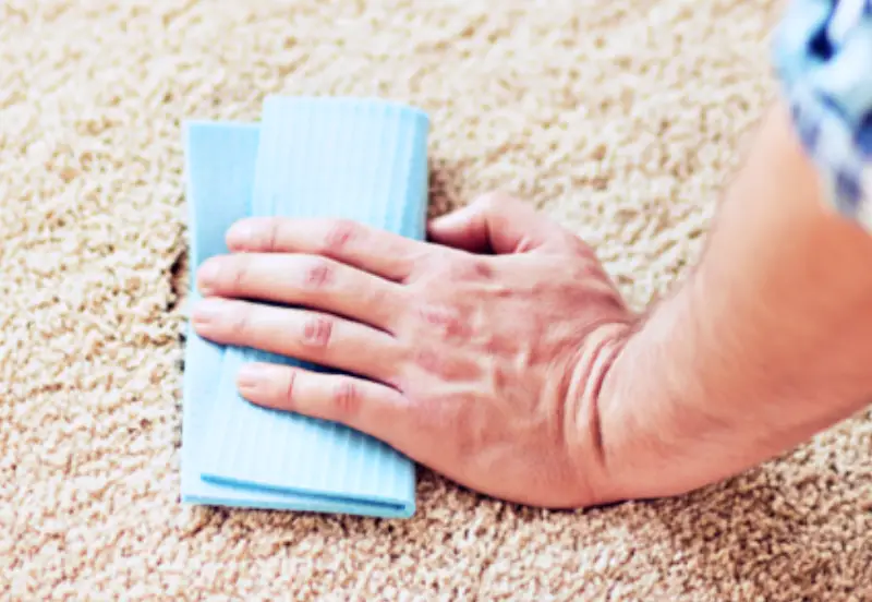 using wet hands to clean off carpets from dog hair