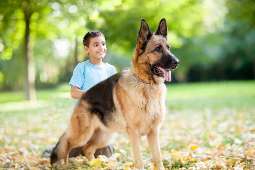 are German shepherds good with kids