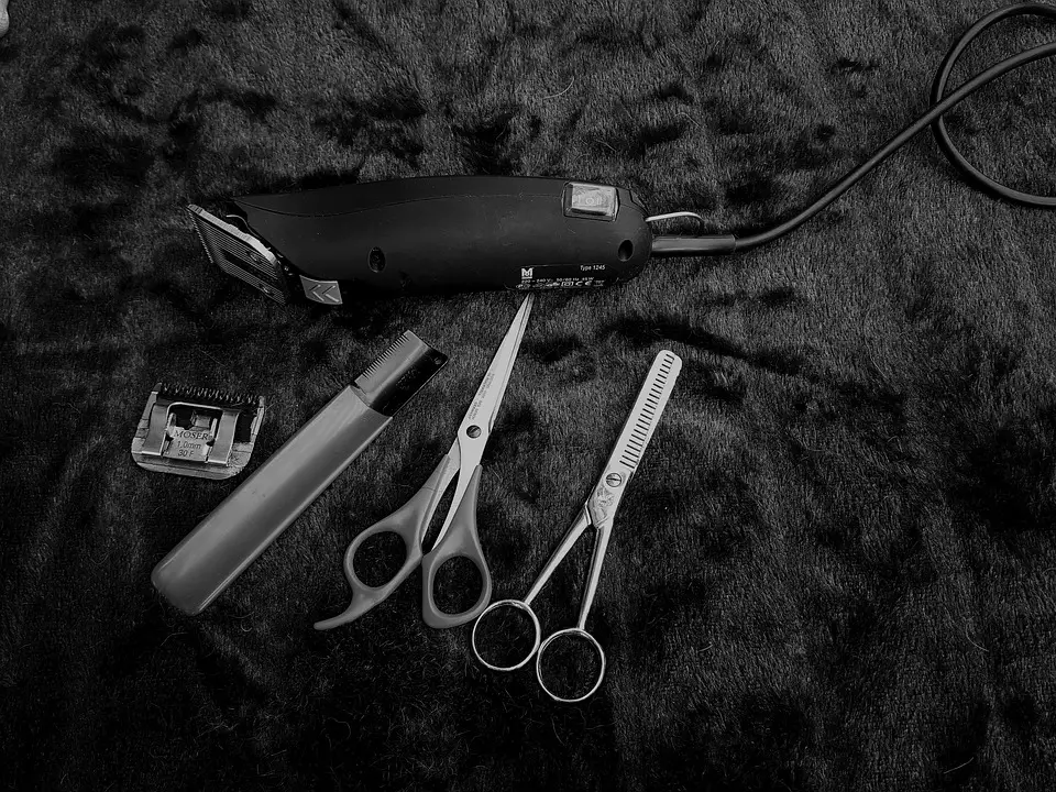 grooming tools. How to use dog clippers