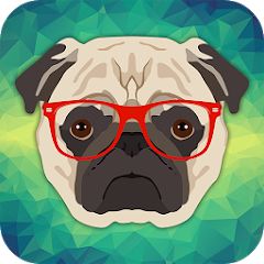 Dog training apps: Dog training 101