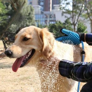 Dog Grooming 101: How to Use Dog Clippers | Glamorous Dogs
