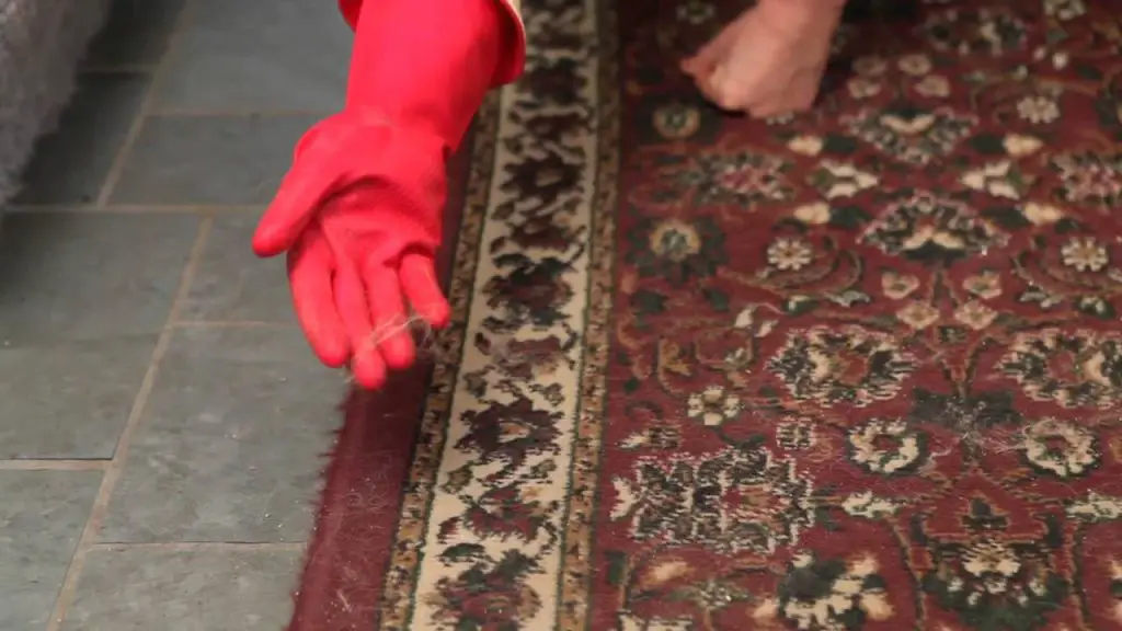 How to Get Dog Hair out of Carpet Easily Using Simple Methods |
