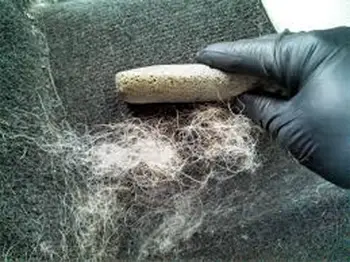 a gloved hand and a pumice stone used to get dog hair out of car carpet