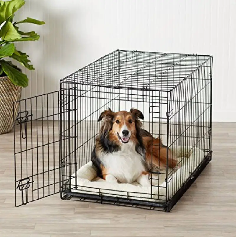 puppy crate schedule
