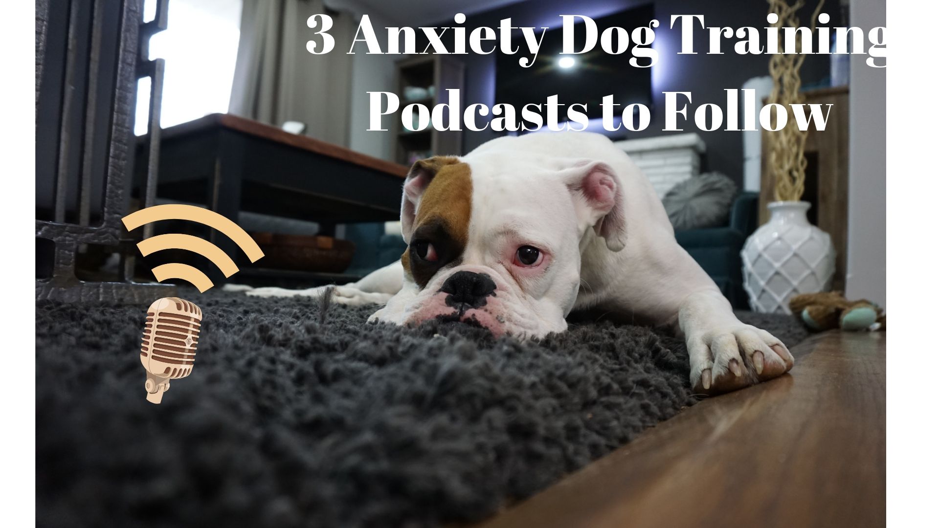 Anxiety Dog Training Podcasts