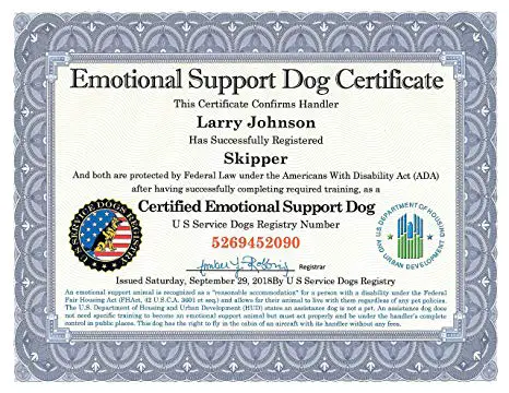 Emotional Support Dog certification. Emotional Support Dog Training