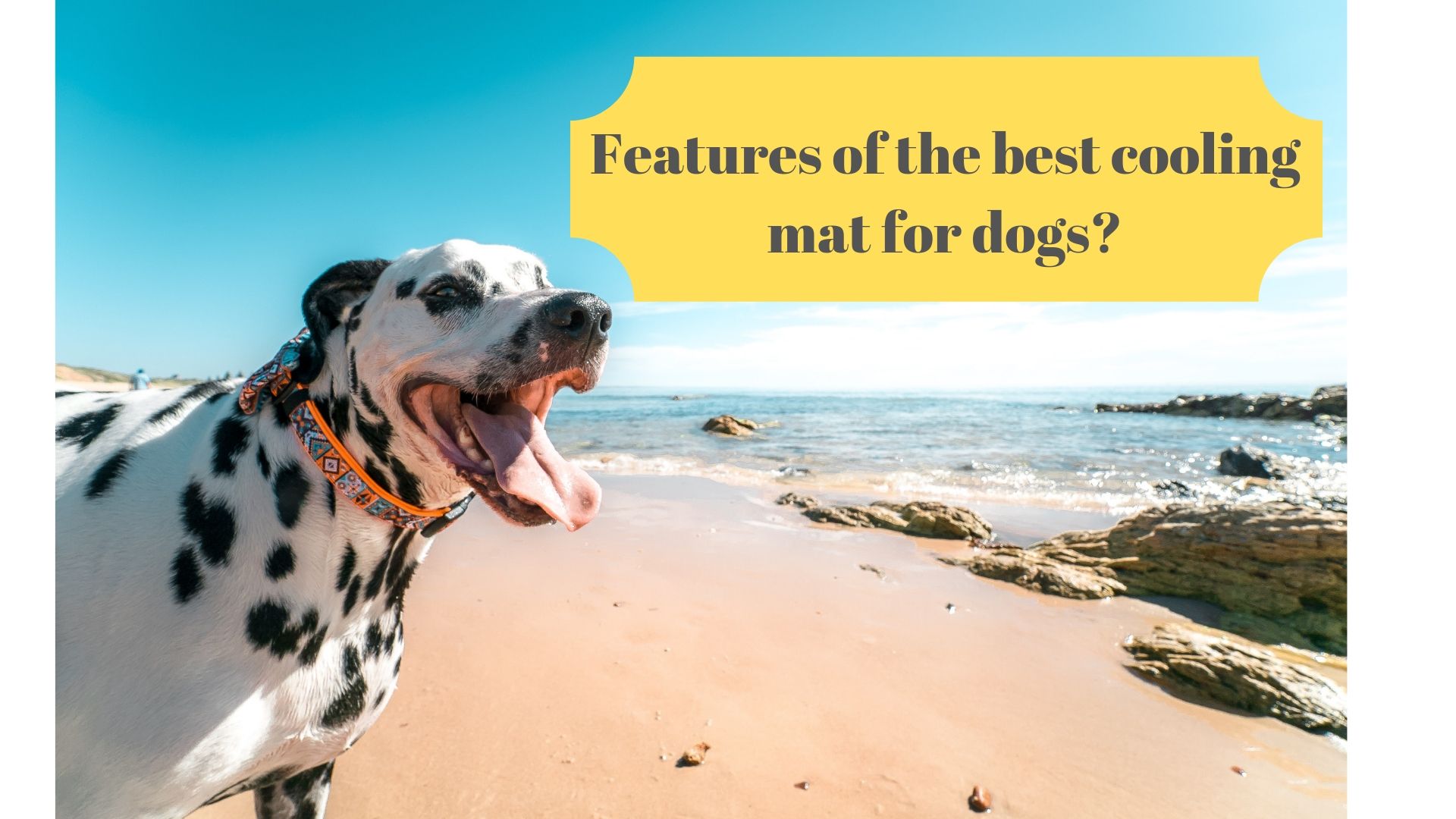 best cooling mat for dogs