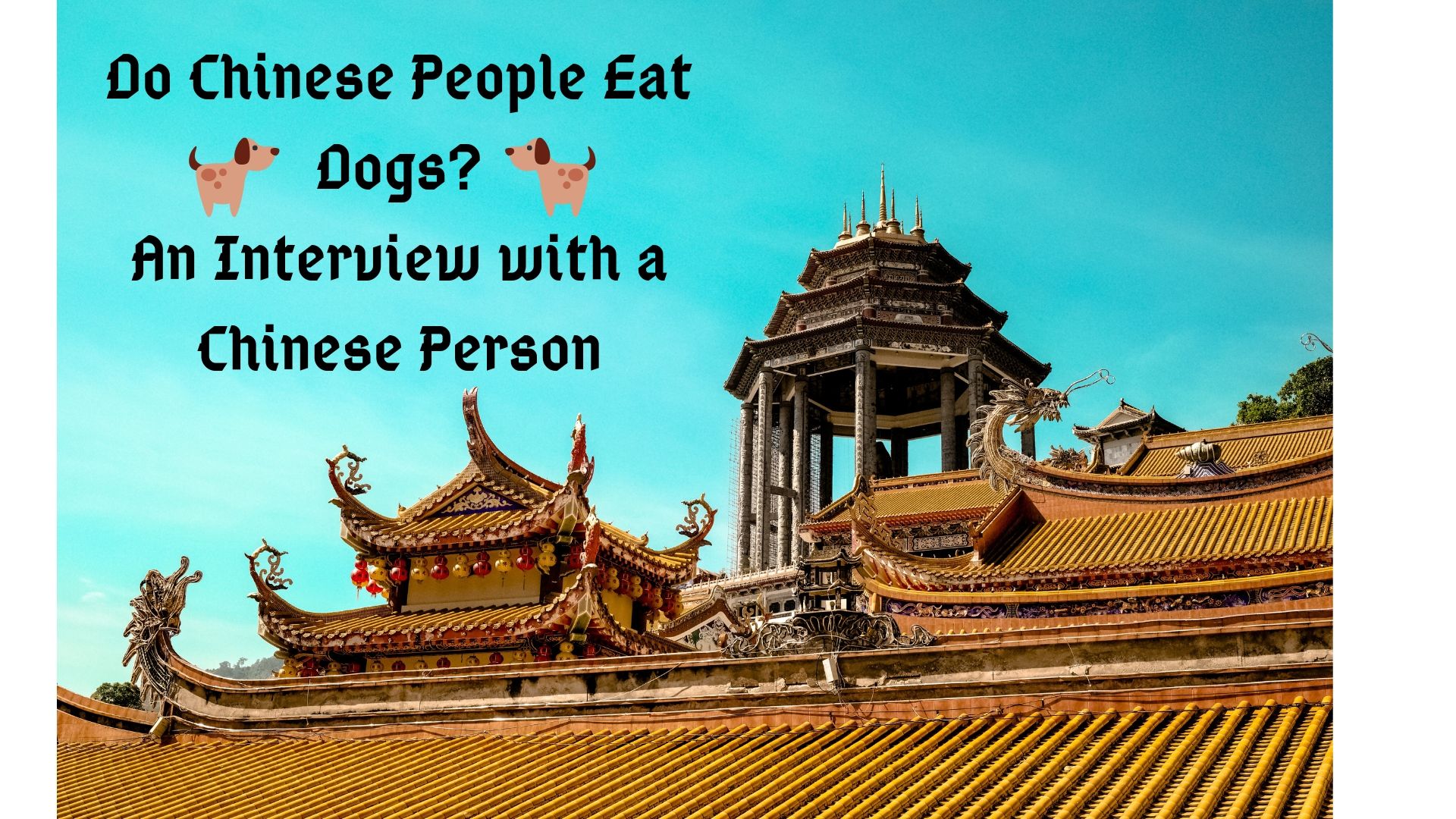 do Chinese people eat dogs