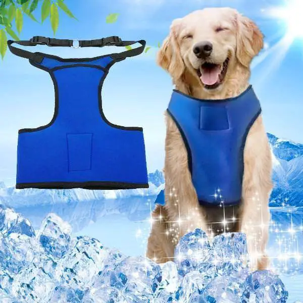 A smiling dog wearing a dog cooling vest
