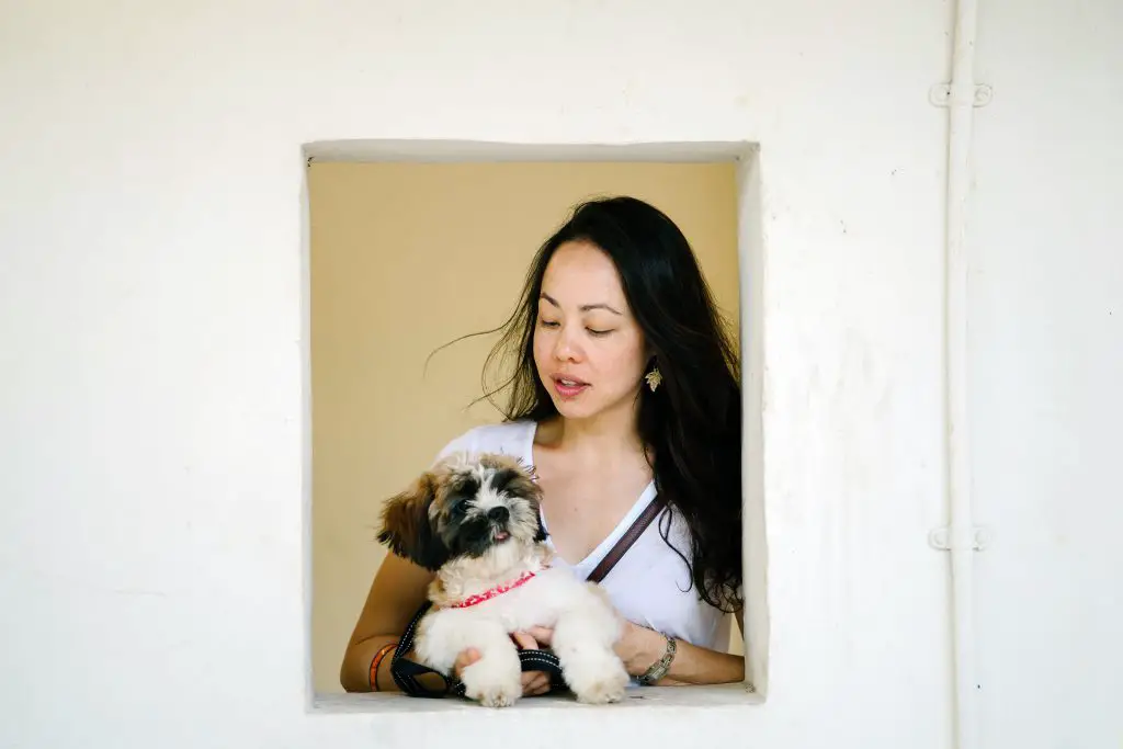 Do Chinese People Eat Dogs- An Interview with a Chinese Person |