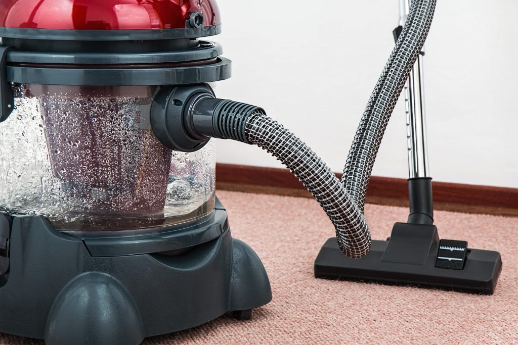 What Is The Best Vacuum for Dog hair? |