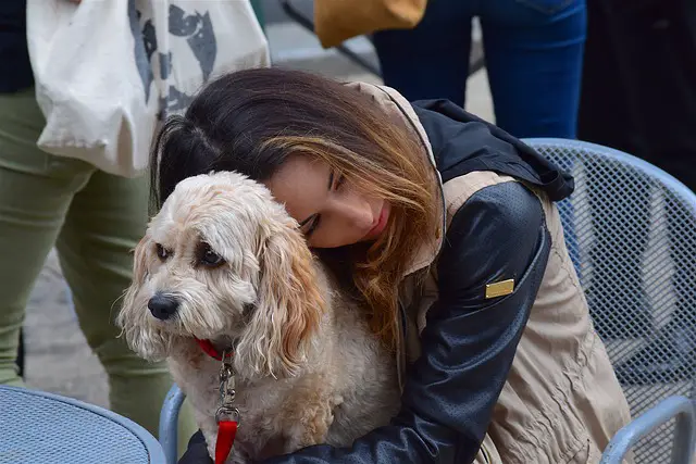 woman hugging an ESA dog. emotional support dog training
