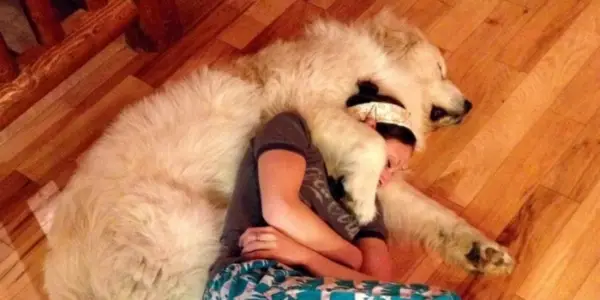 dog hugging his owner. emotional support dog training 
