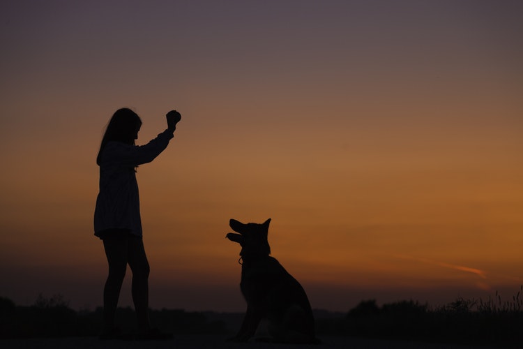 woman training her ESA dog. Emotional Support Dog Training