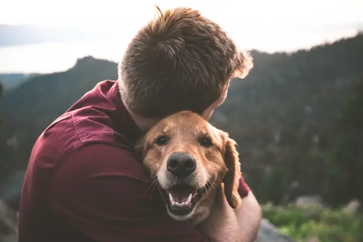 man hugging his dog. emotional support dog training