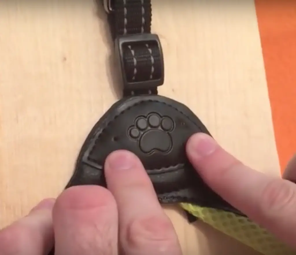 how to make a blind dog bumper collar
