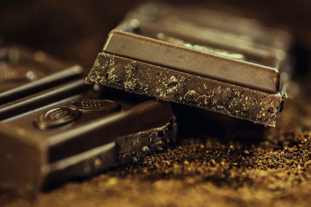 Why Dogs Can't Eat Chocolate; Toxic Alert! |
