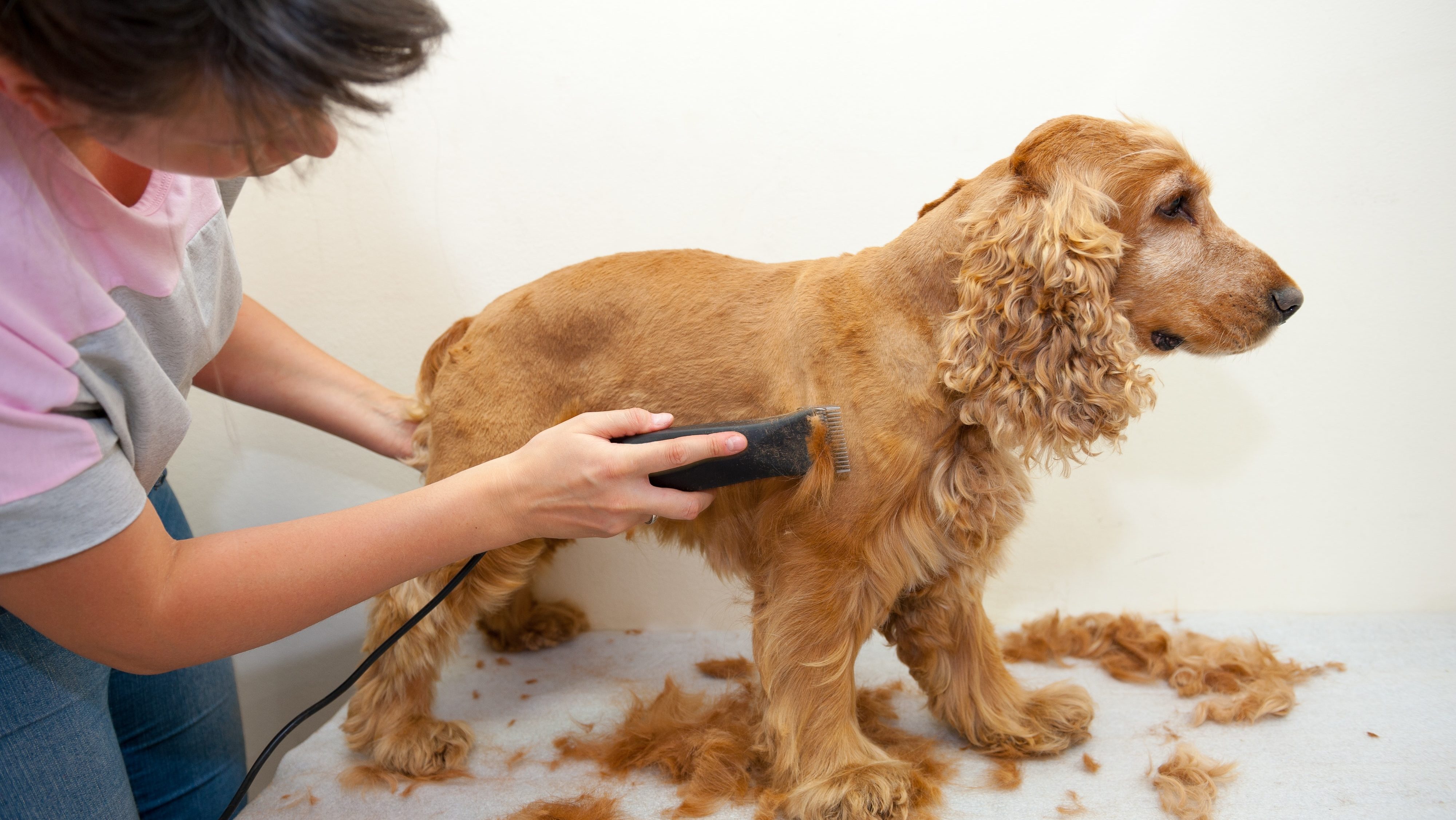 dog clippers for matted hair