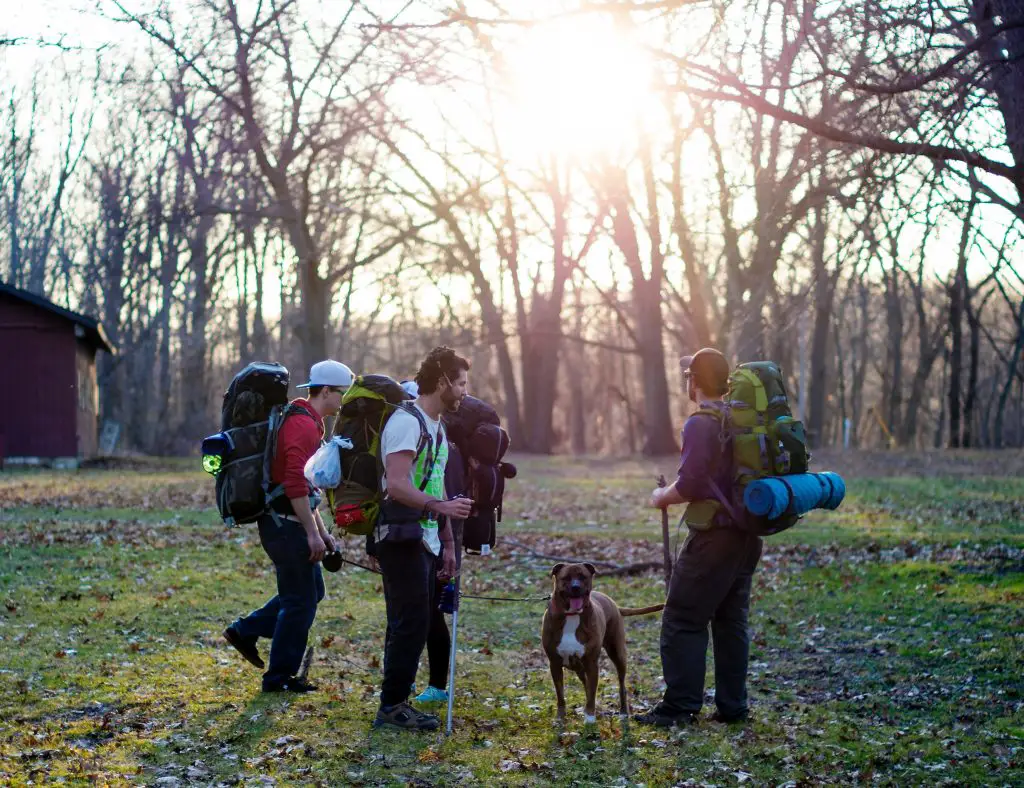Adventure Time! Camping with Dogs The Right Way |