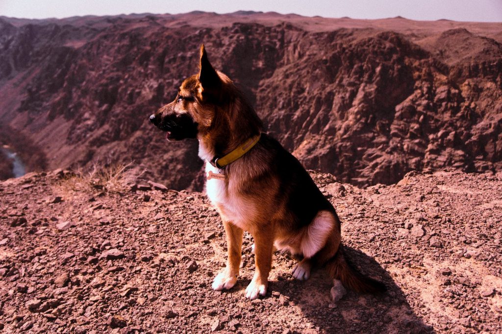 A GSD looking into the horizon