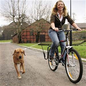 How to Mountain Bike with A Dog Easily in Simple Steps |