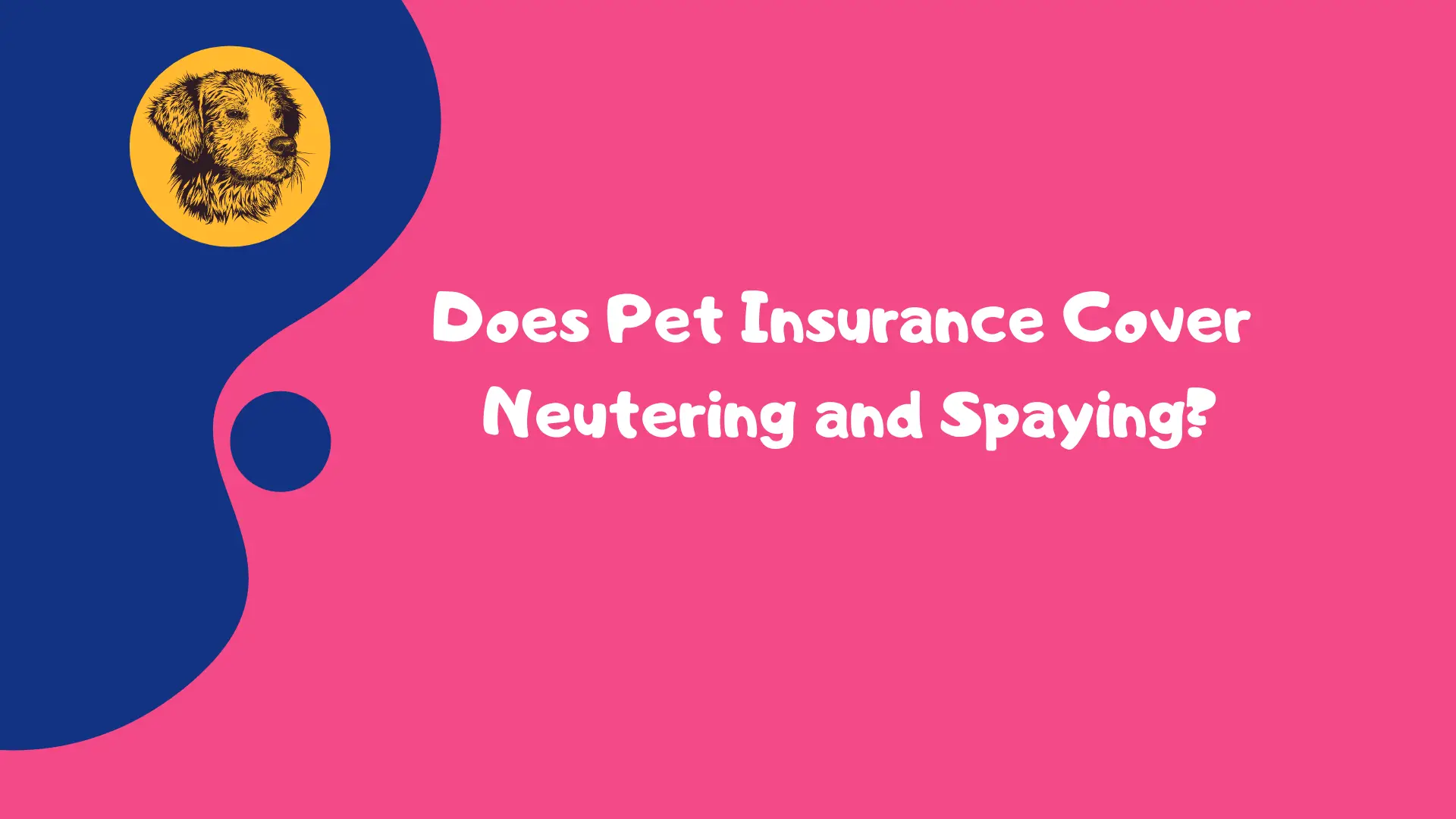 Does Pet Insurance Cover Neutering and Spaying?​