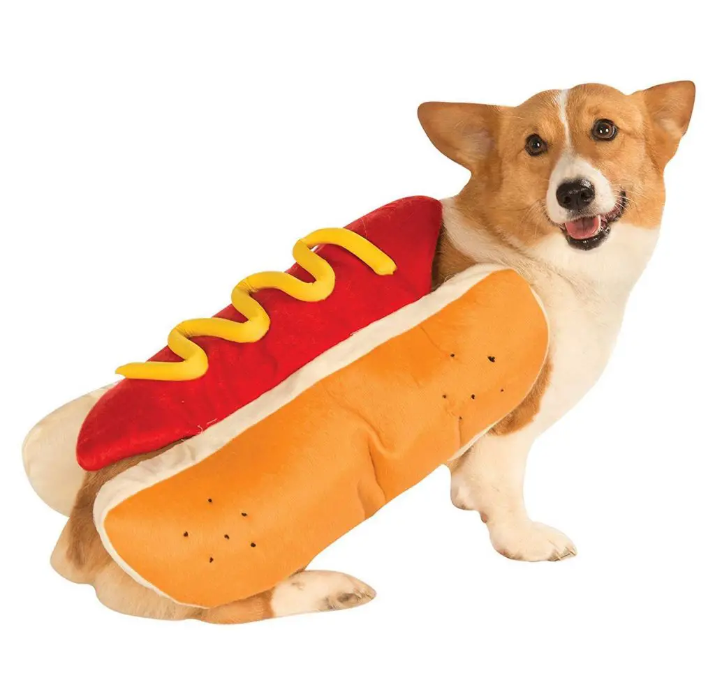 Top 30 Large Dog Halloween Costumes to Glamour Up Your Dog |