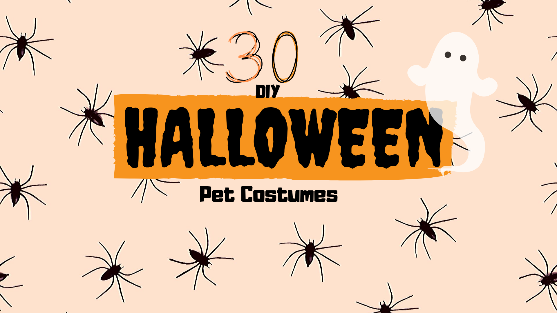 30 DIY Halloween Pet Costumes