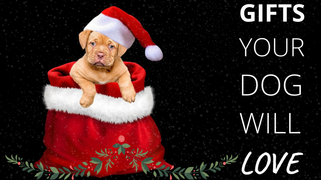 Best Dog Christmas Gifts - Gifts your Dog will Love! | Glamorous Dogs