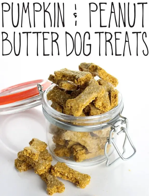 Elfin' Peanut Butter Pumpkin Treats for Dogs