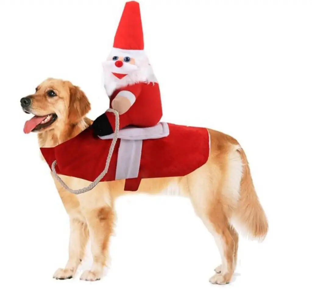 Small To Large Dog Christmas Costumes and Outfits |