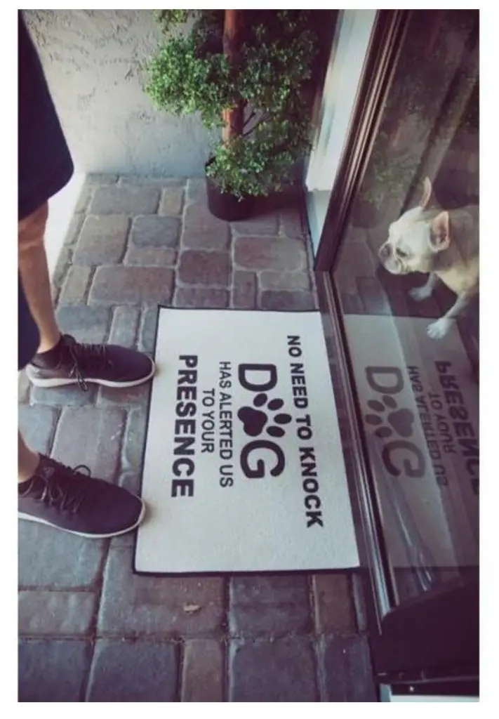 The Funny Dog Doormat 