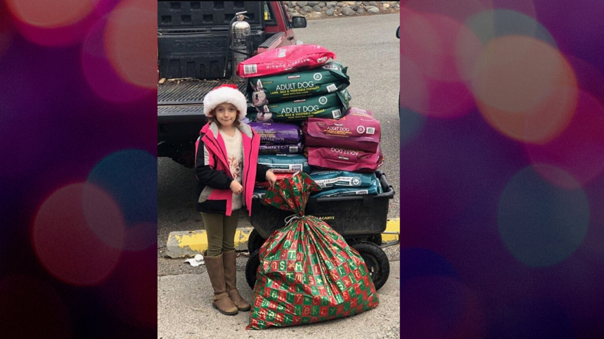 Little Girl Collects 600 Pounds of Pet Food to Donate to Shelter |