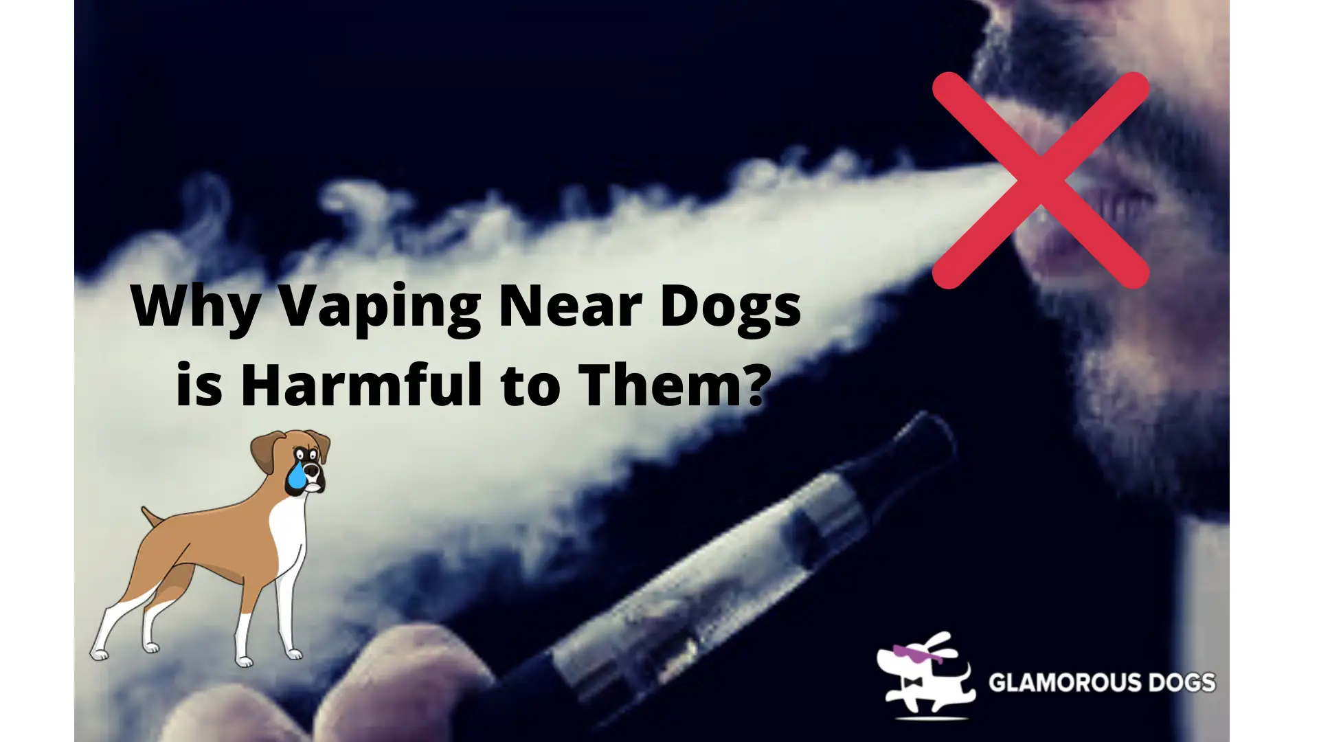 Why Vaping Near Dogs is Harmful to Them
