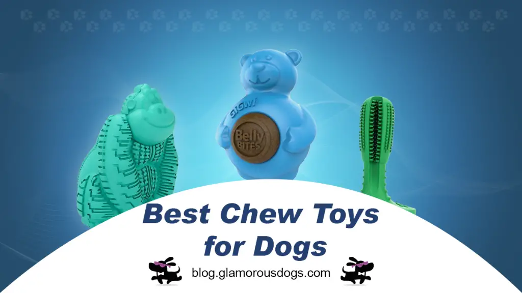 Top 5 Recommended Dog Toys For Your Dog to Enjoy And Much More! |