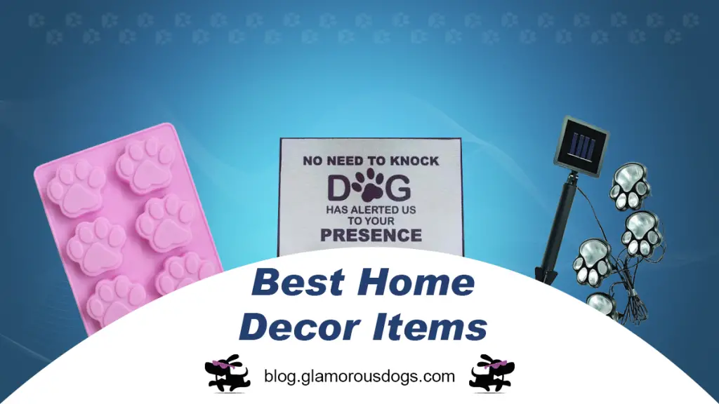 What Your Dog Needs |
