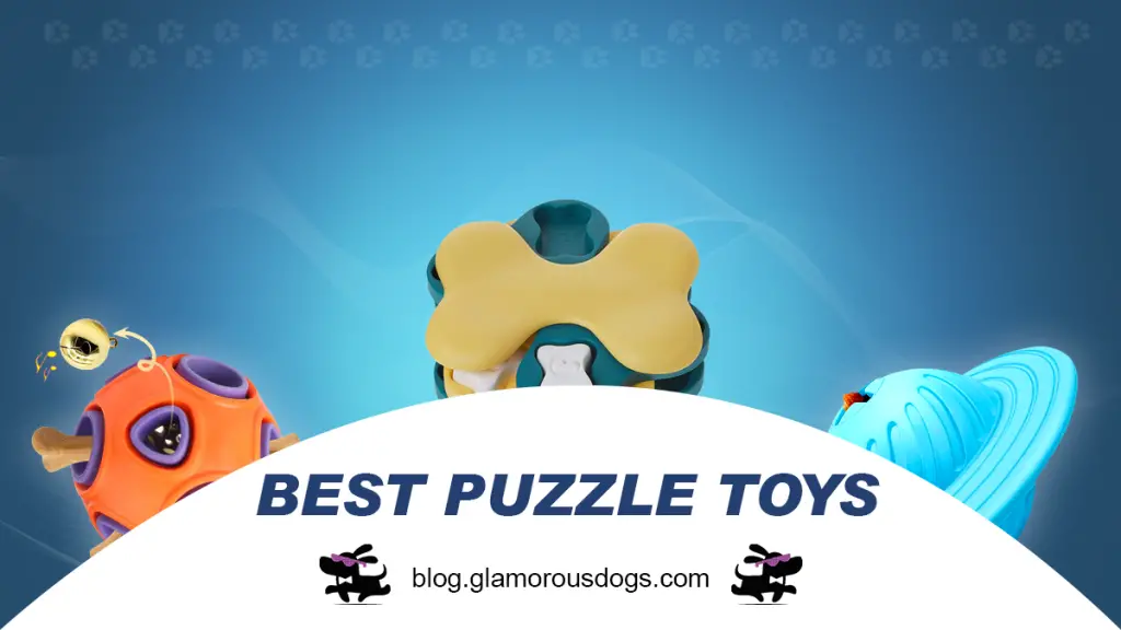 Top 5 Recommended Dog Toys For Your Dog to Enjoy And Much More! |