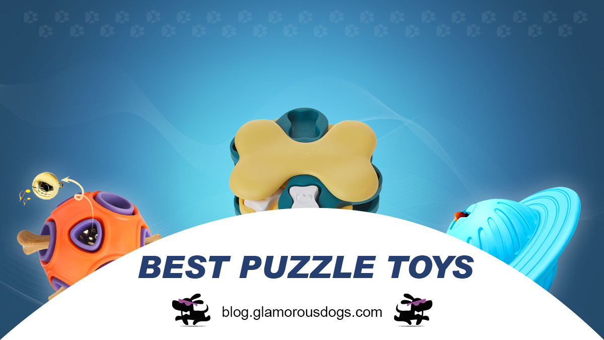 Top 5 Puzzle toys that Will Challenge Your Dog's Mind |