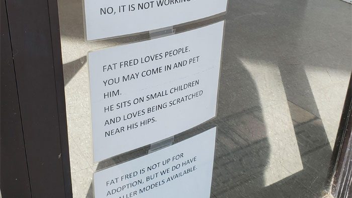 Vet Posted a Note About Fred the Fat Cat and It's The Funniest Thing Ever |