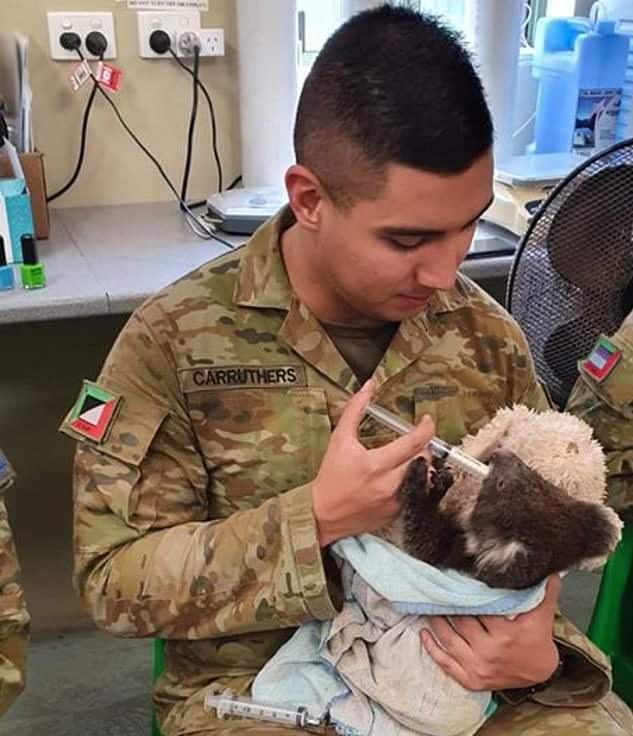Soldiers On Duty Are Spending Their Rest Time Caring for Rescued Koalas |