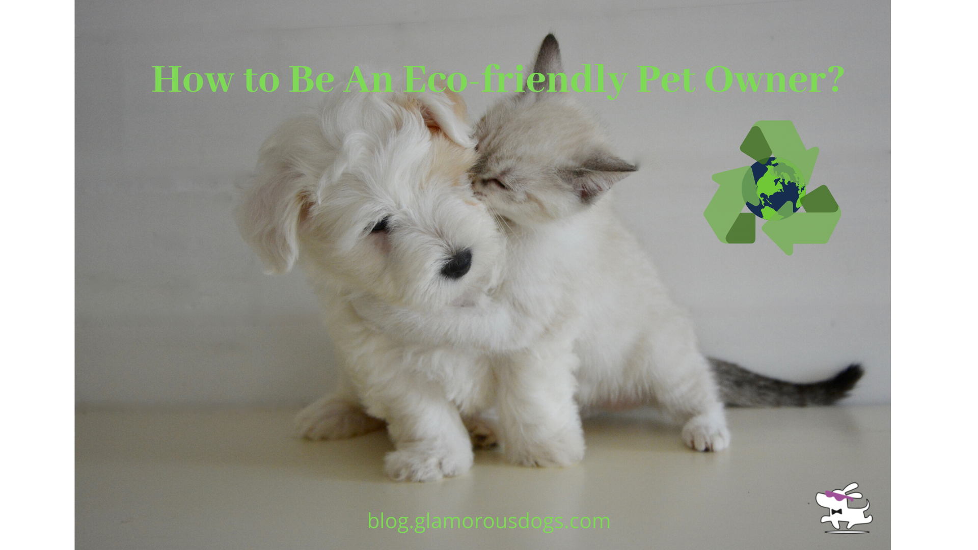 How to Be An Eco-friendly Pet Owner? |