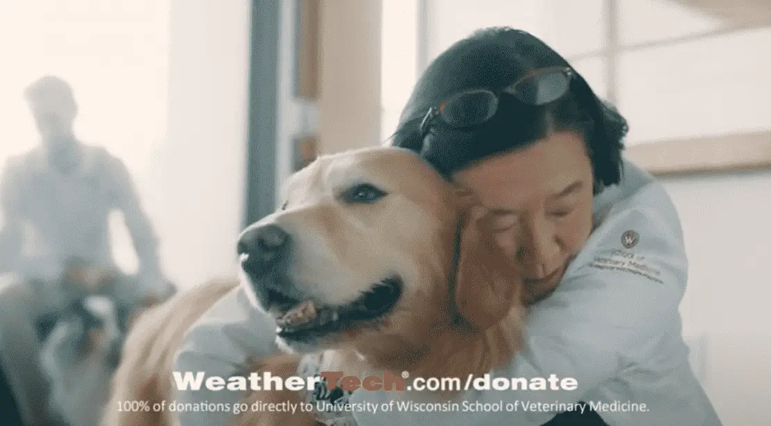 Watch the Emotional Super Bowl Ad A Dog Owner Made to Thank A