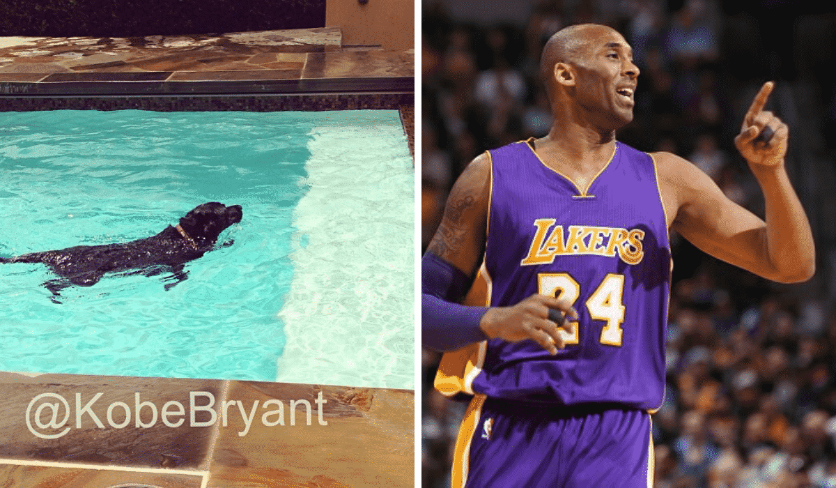 Legend Kobe Bryant Had a Dog That Said Much About His Personality |