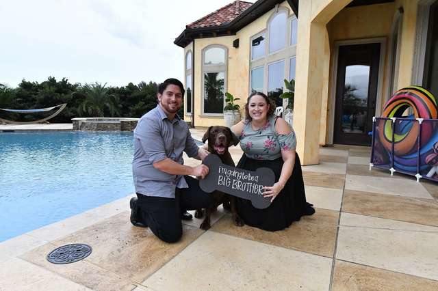 Couple Does the Best Gender Reveal Ever - For Their Puppy |