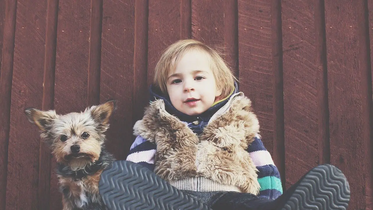 Can Dogs Teach Kids Responsibility? |