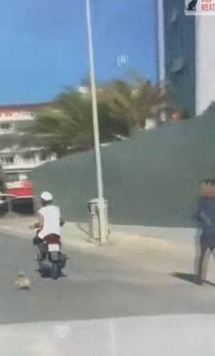 Two Women Rescue Dog Dragged Along Scooter On Its Way to Be Sold for Meat |