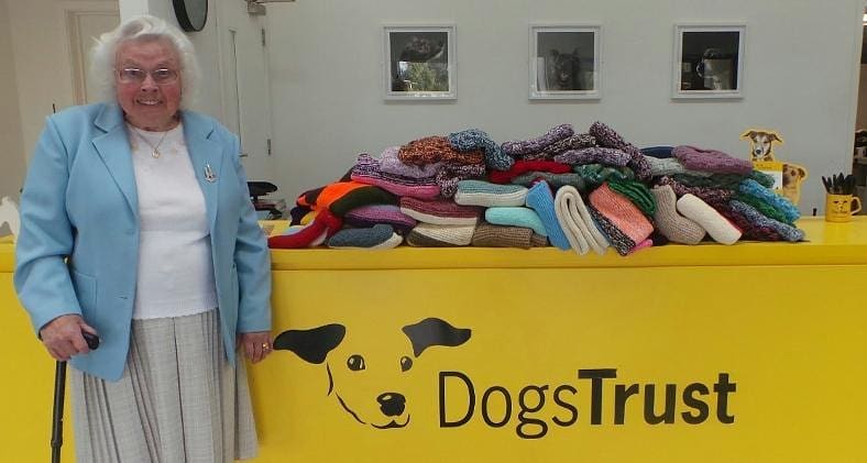 89-Year-Old Woman Knits 450 Coats and Blankets to Keep Rescue Dogs Warm in Winter |